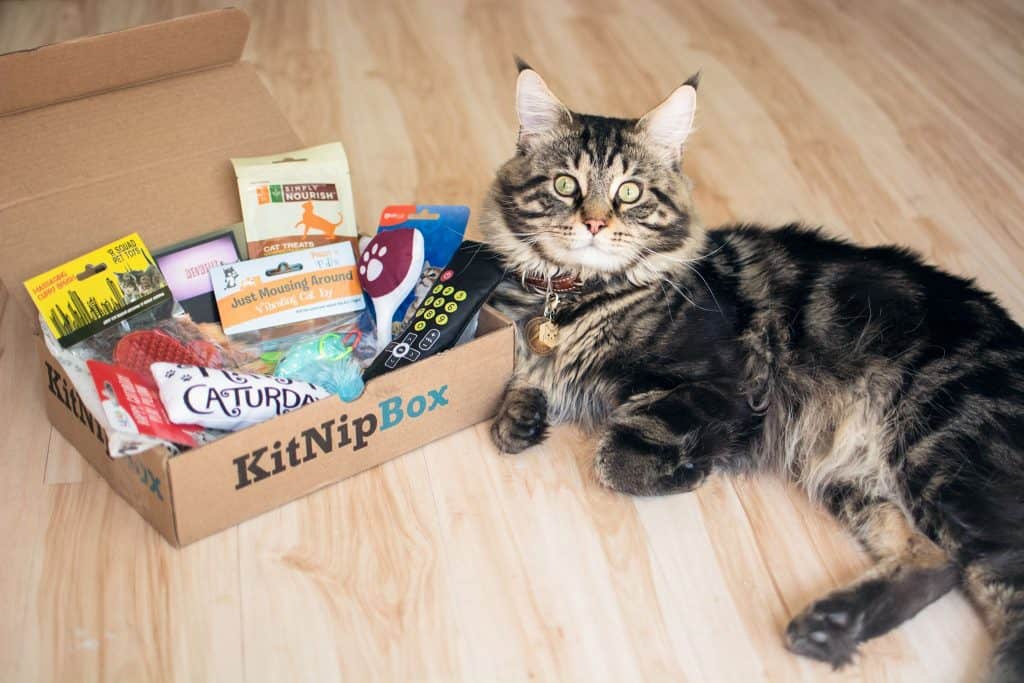 kitnipbox shipping