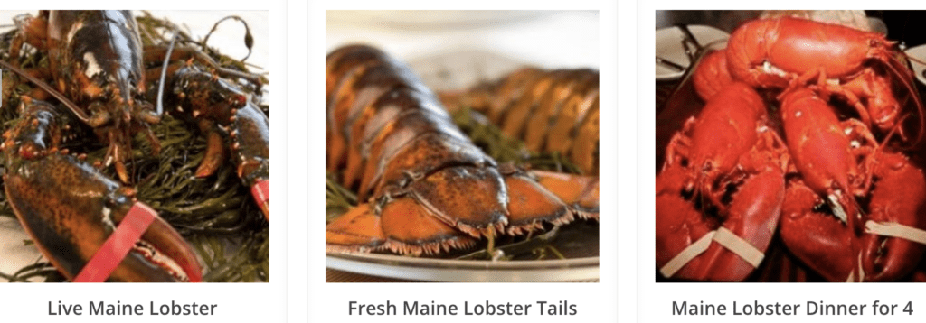 Cape Porpoise Lobster 