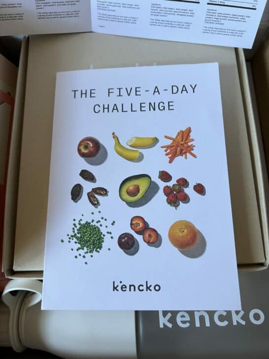 Kencko Review & Guide You Can Buy Powdered Smoothies. But Should You