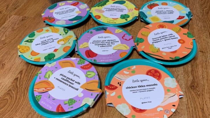 Little Spoon Review: A Tasty Toddler Meal Service (With a Few Probs)