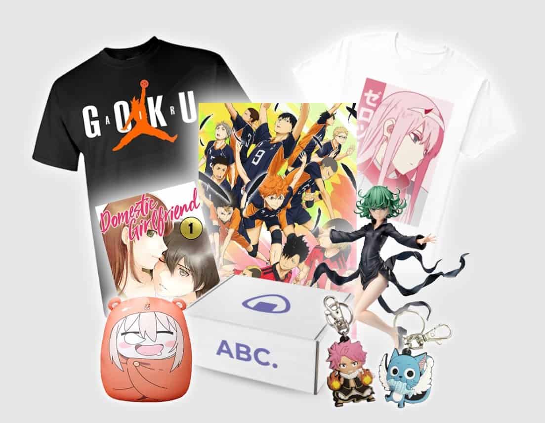 The Best Anime Subscription Boxes in 2021  MSA