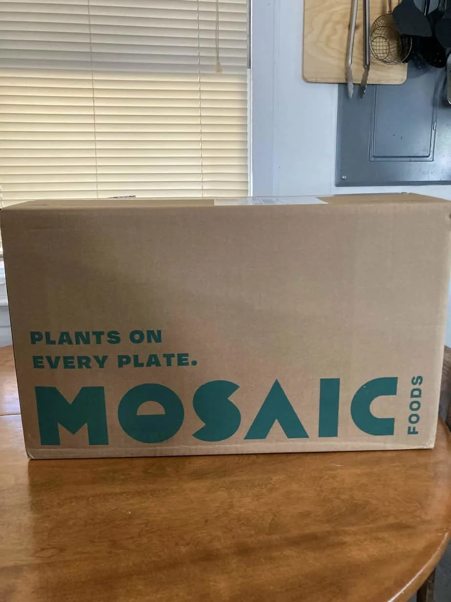 Mosaic box