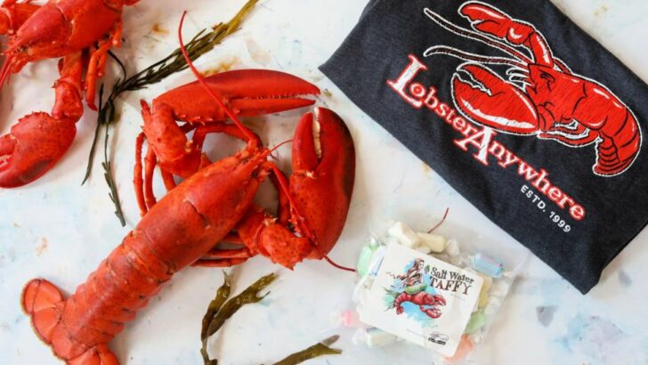 Lobster Anywhere Review: Your Guide to the Best Lobster Maine Has to Offer
