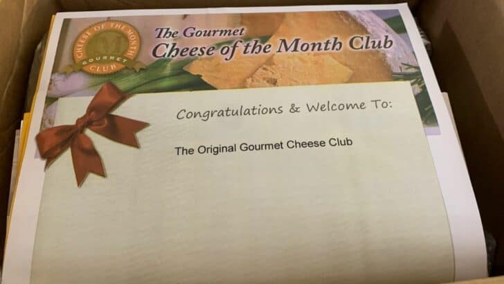 Gourmet Cheese of the Month Club Review: A New Obsession?