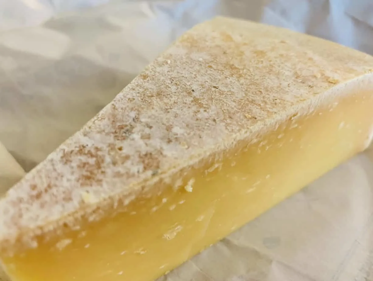 Gourmet Cheese Selvatico
