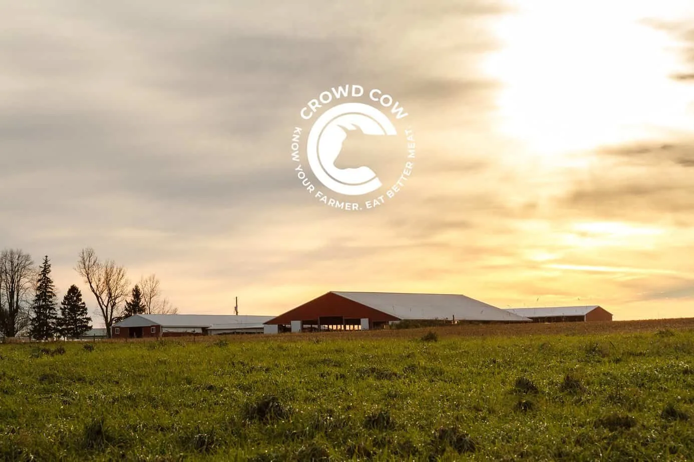 crowd cow logo