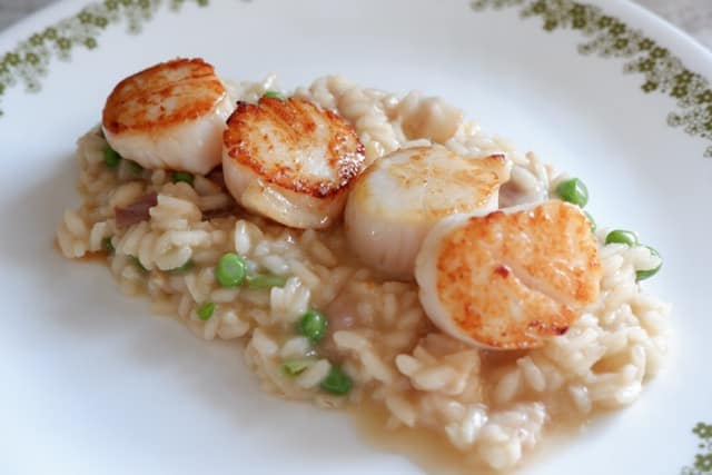 risotto with scallops sea to table