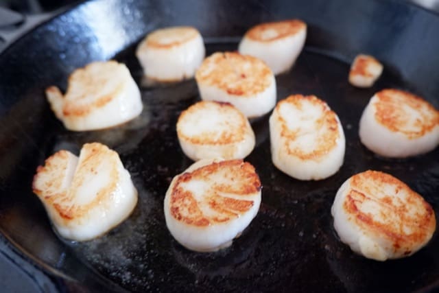 sea to table scallops fried