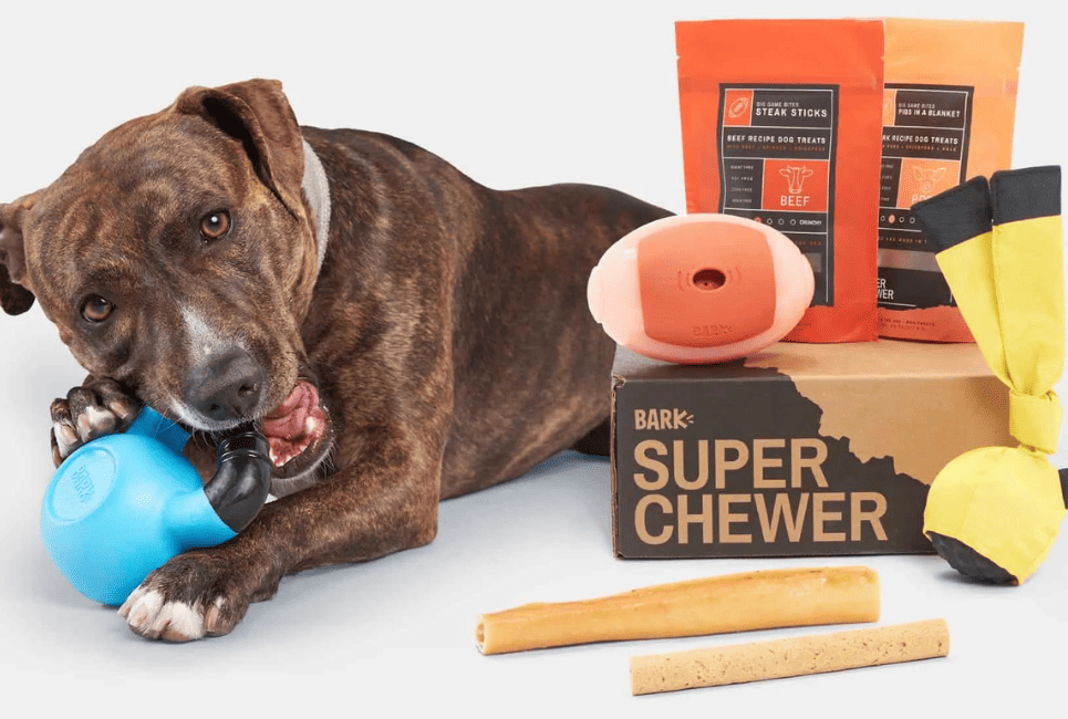 super chewer box