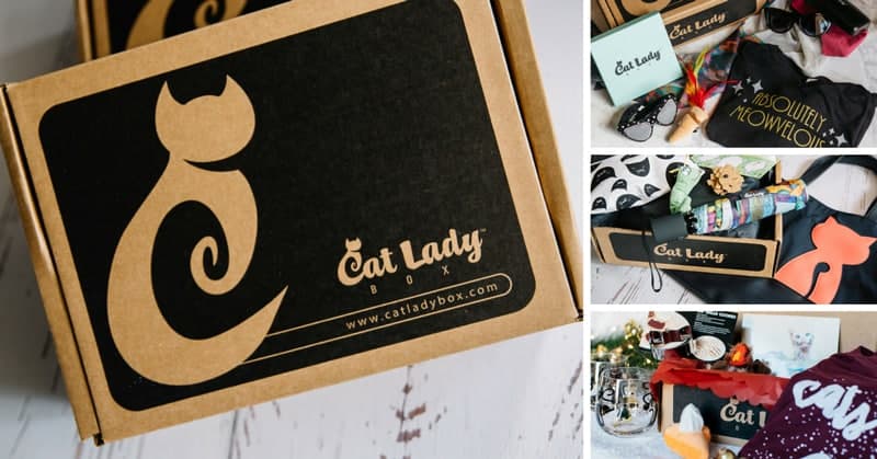 cat lady box