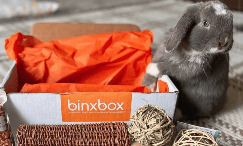 binxbox