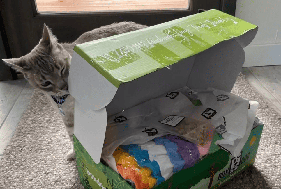 boxcat subscription