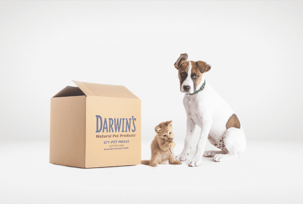 Darwin's Natural Pet Products