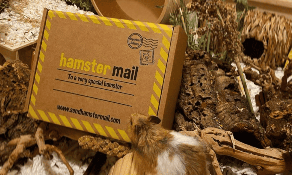 hamster mail subscription box