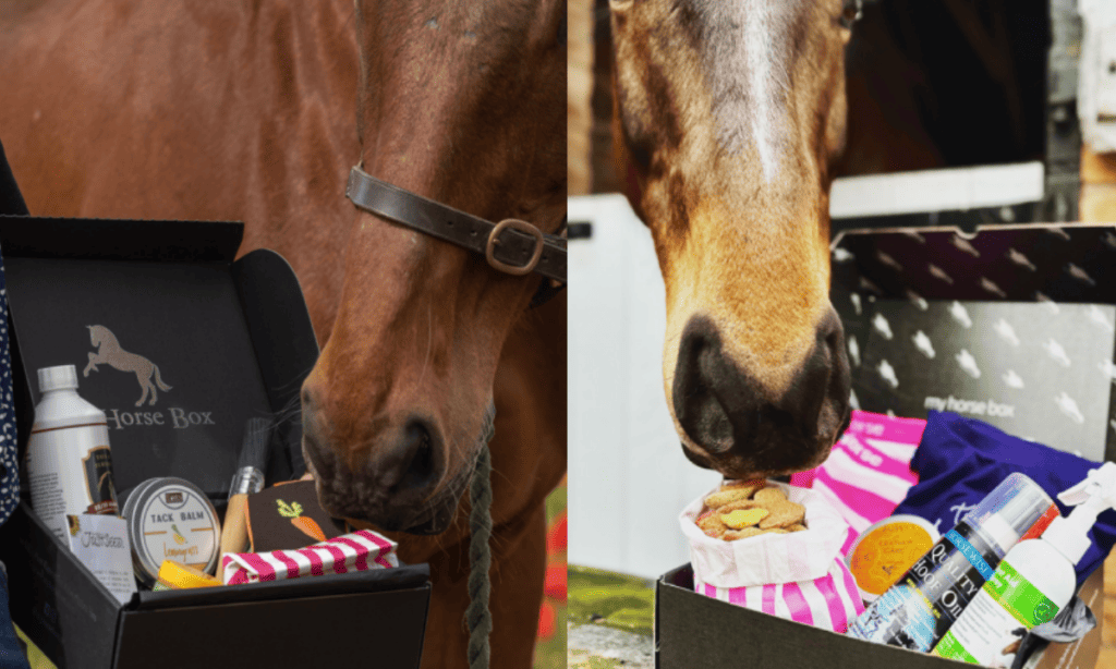 horse subscription box