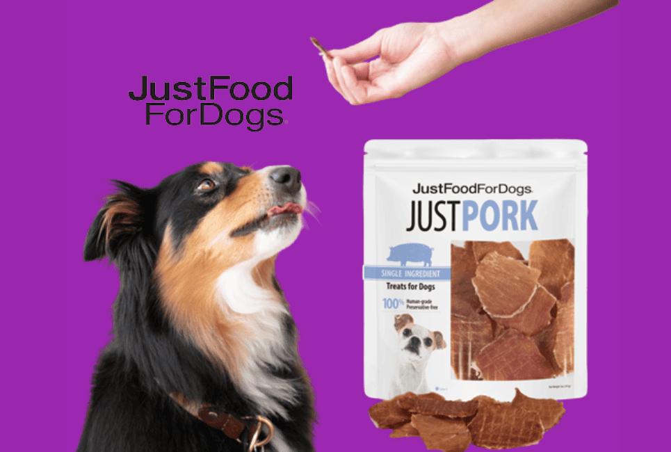 justfoodfordogs