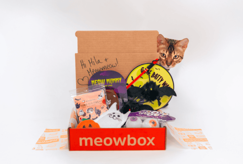 meowbox