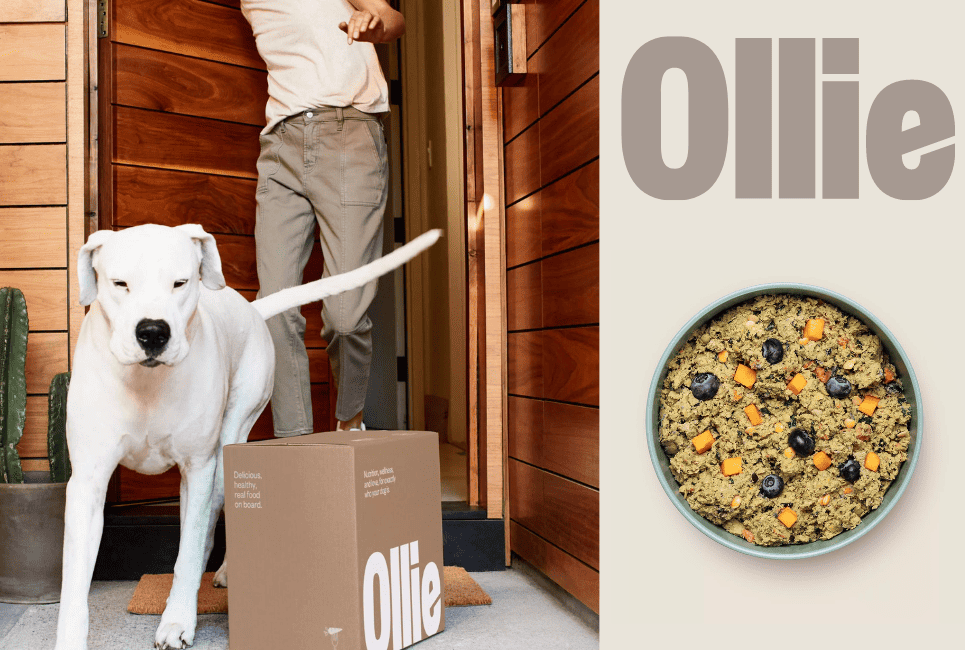 ollie dog food