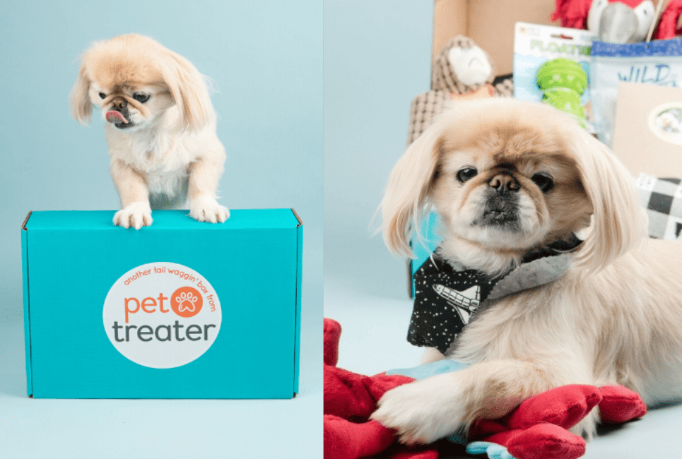 pet treater