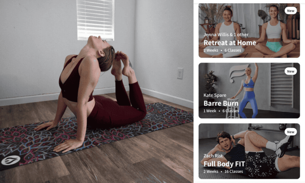 Wantable vs Fabletics Compared Subscriboxer