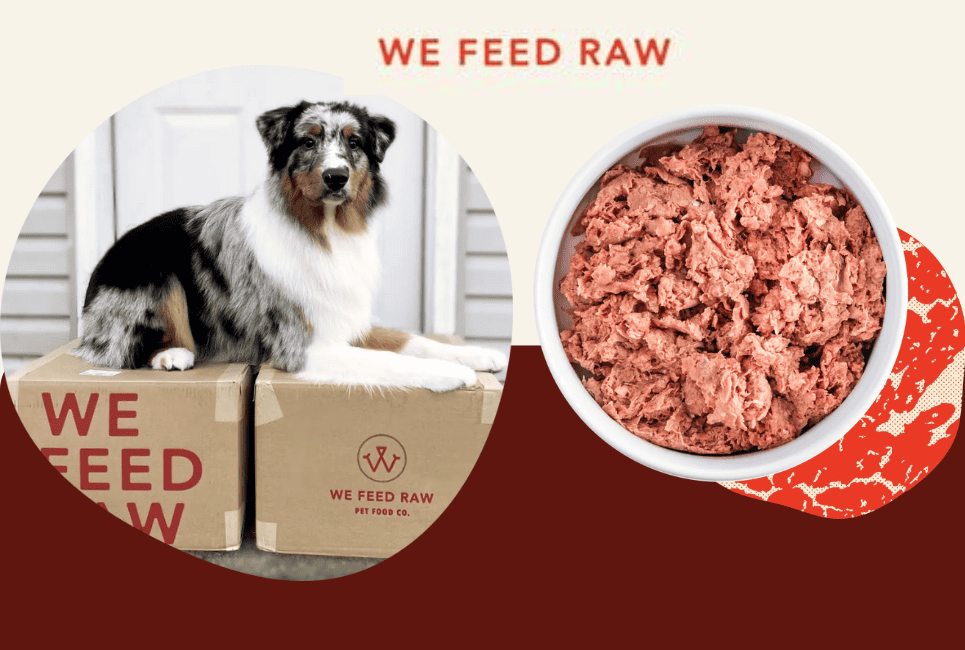 we feed raw subscription box