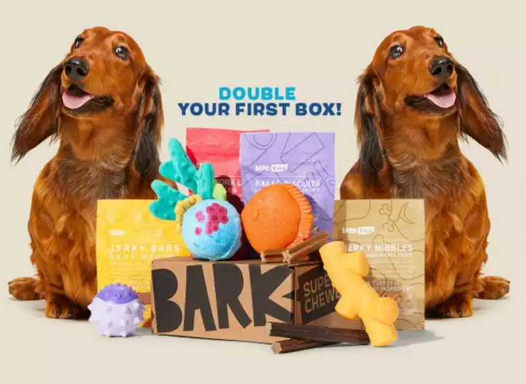 Super Chewer Box | Barkbox