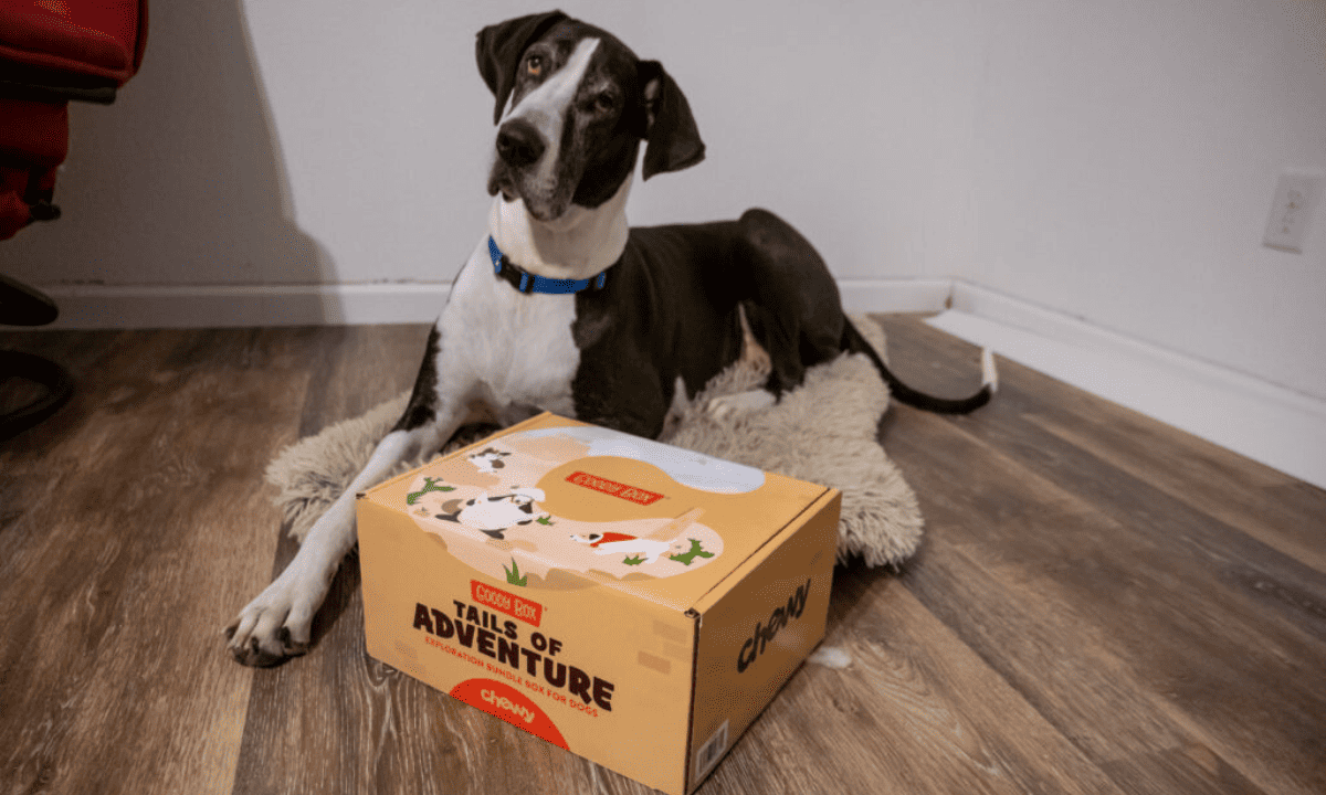 chewy subscription review