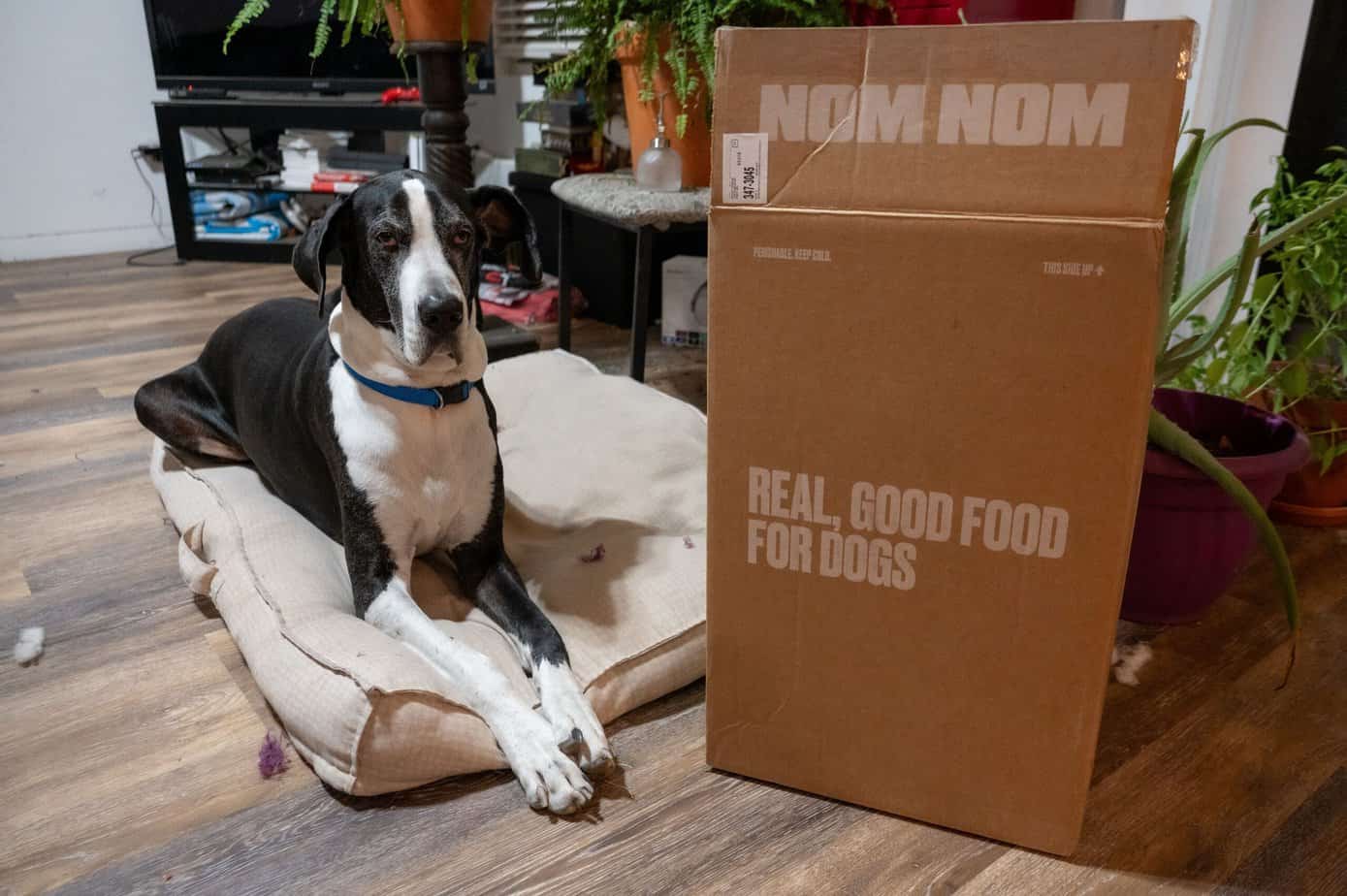 nom nom delivery box size