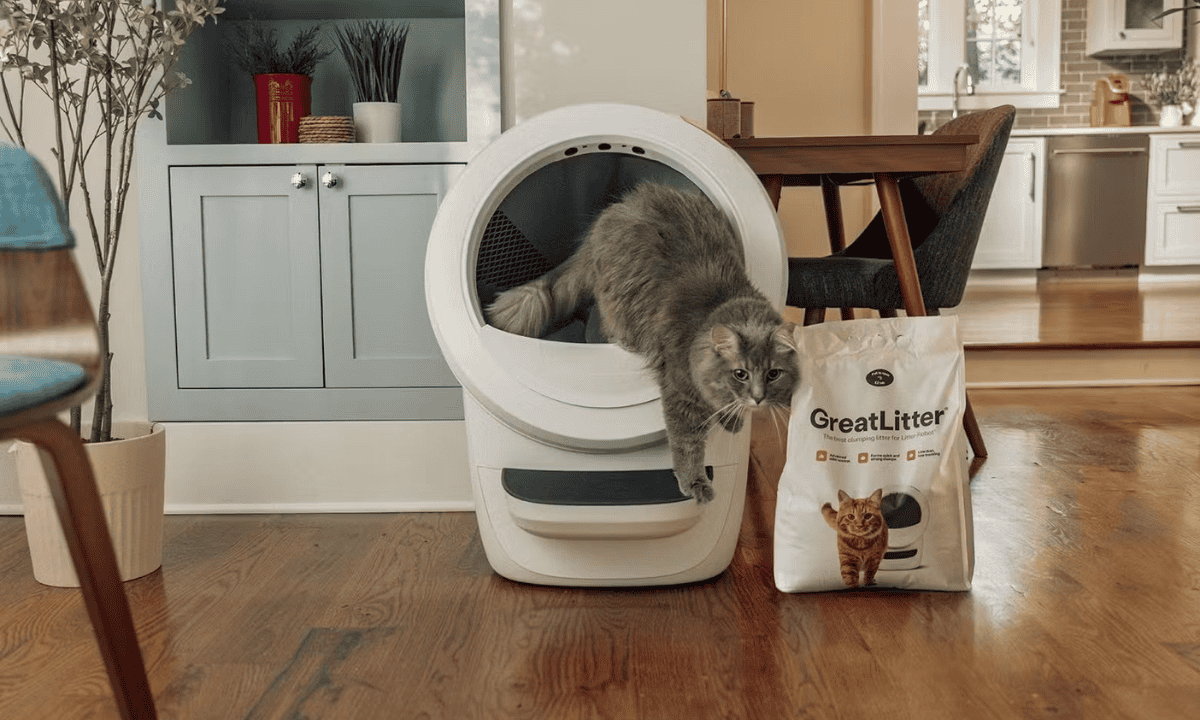 Best Kitty Litter Subscriptions