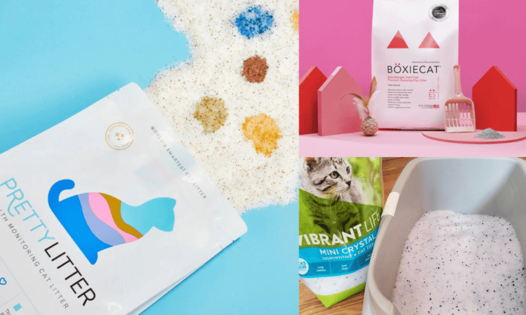 Pretty Litter Alternatives