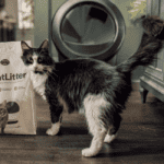 GreatLitter