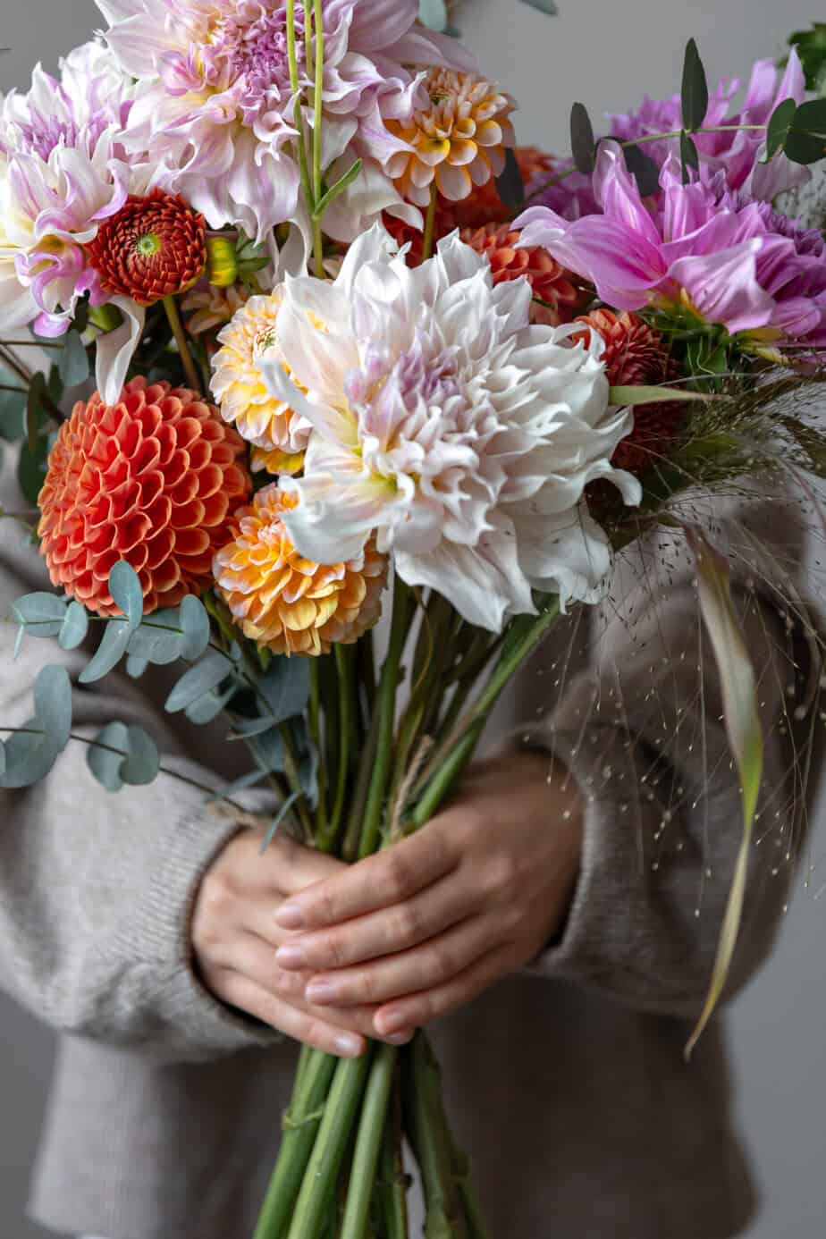 5 Best Bouqs Alternatives