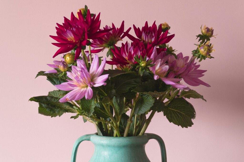 Flower Quality floom vs urbanstems