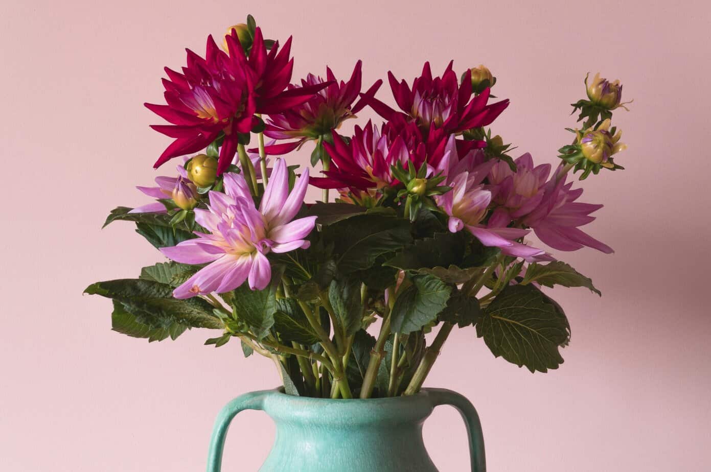 Define Floom UrbanStems vs. Floom: My Honest Experience Ordering Flowers Online ...