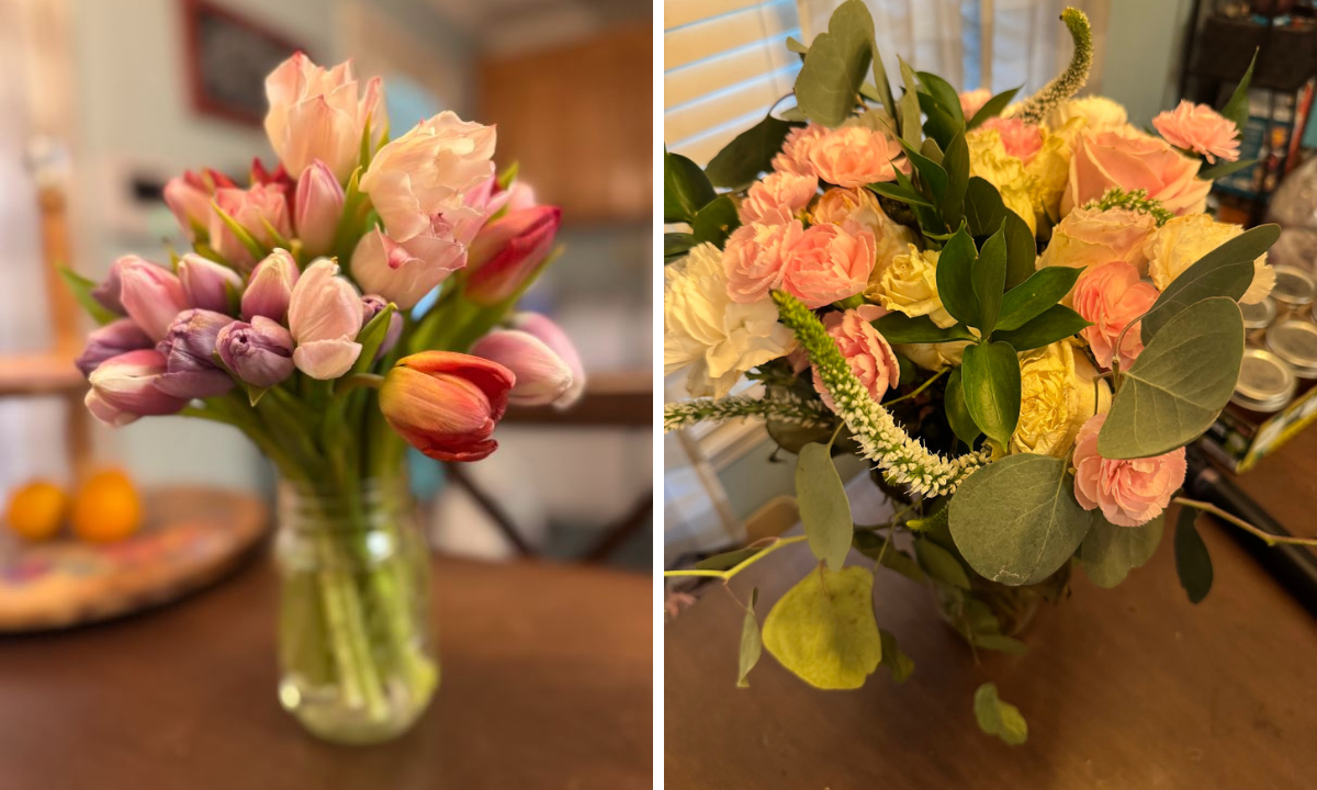 UrbanStems vs. Floom