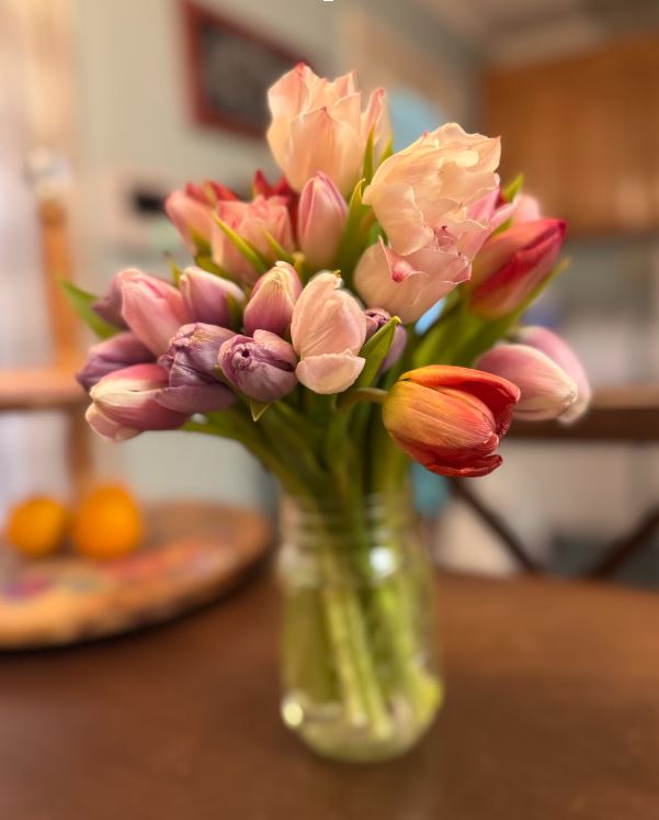 floom flowers colorful tulips review