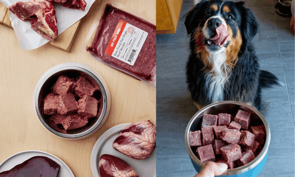 Top Farmer’s Dog Alternatives for Fresh Food Lovers we feed raw
