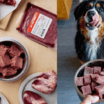 Top Farmer’s Dog Alternatives for Fresh Food Lovers we feed raw