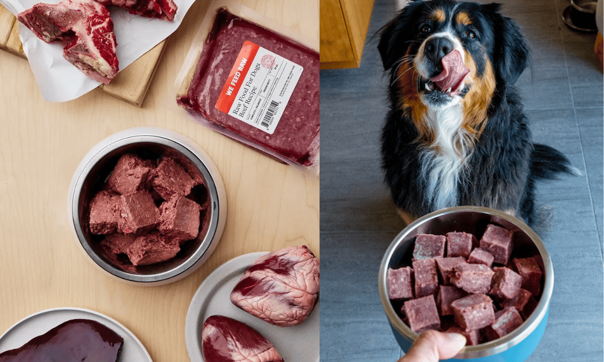Top Farmer’s Dog Alternatives for Fresh Food Lovers we feed raw