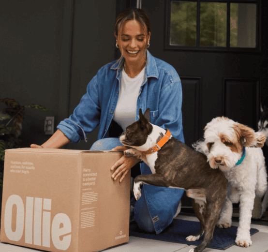 Ollie Dog Food Subscription Alternatives
