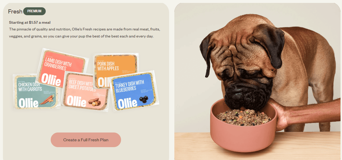 Ollie Dog Food Subscription Alternatives