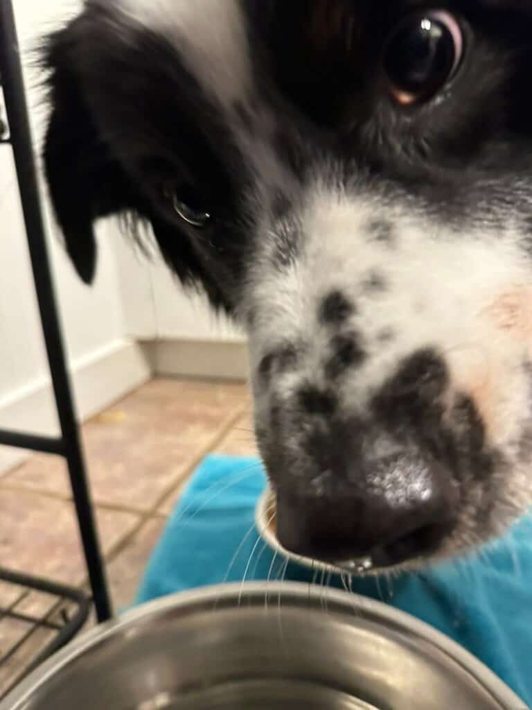 Actual Cooper being like give me more