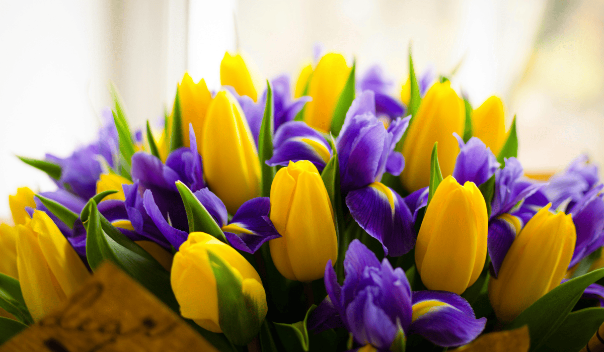 Seasonal Flower Subscriptions 