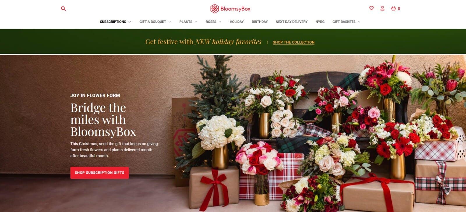 BloomsyBox website 