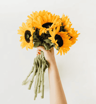 UrbanStems Sunflower Surprise