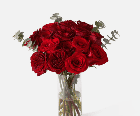 UrbanStems Classic Rose Collection