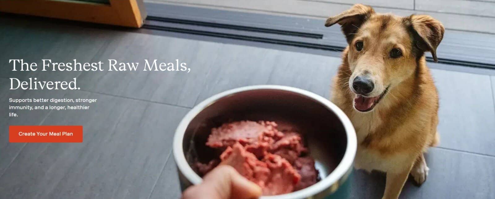 we feed raw