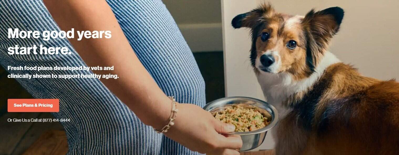 farmers dog