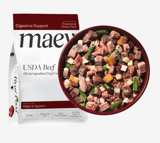 Maev presentation