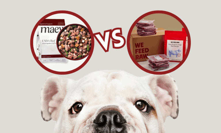 Maev vs. We Feed Raw